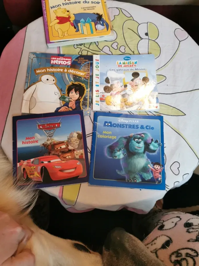 Lot de 4 livres Disney