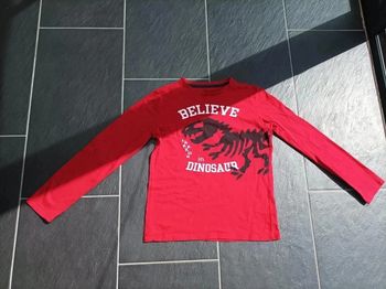Joli tee-shirt dinosaures manches longues garçon 11-12 ans