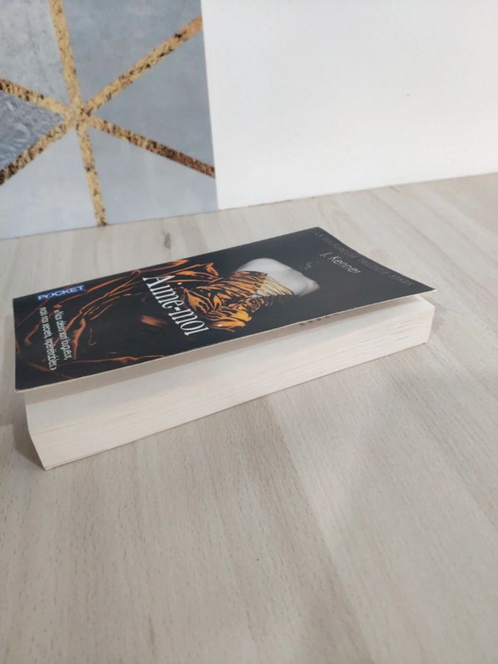 Livre poche trilogie Stark tome 3 aime moi Kenner - photo numéro 4