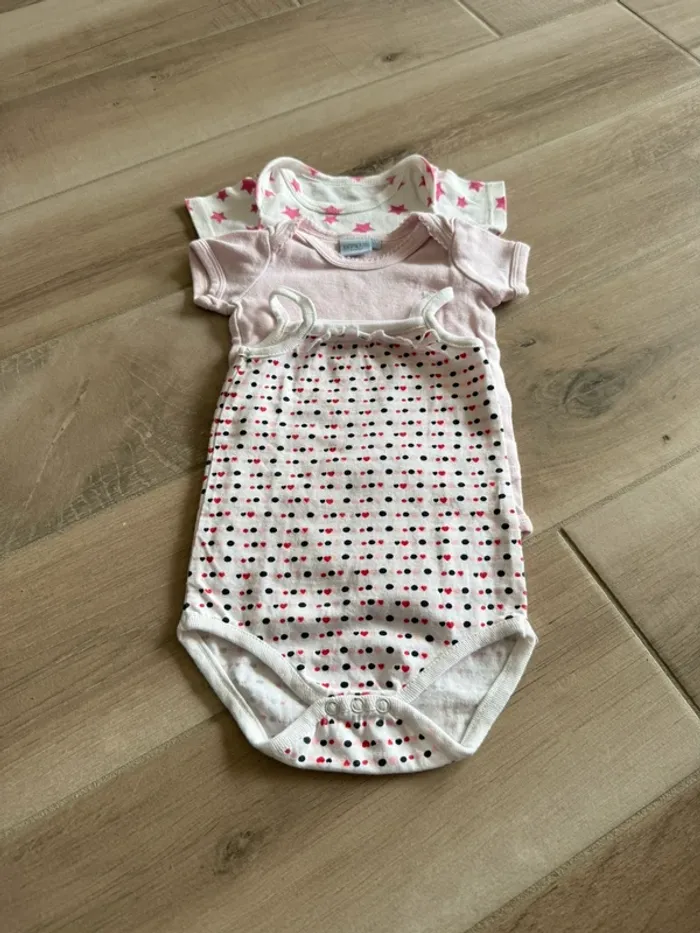 Lot 3 bodies