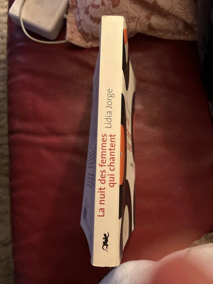 la nuit des femmes qui chantent - photo numéro 3