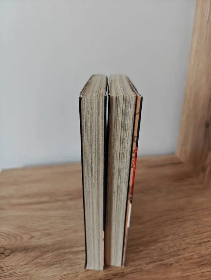 Mangas L'attaque des titans - tomes 1 et 2 - photo numéro 4