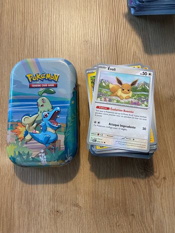 Lot mini tin et 100 cartes