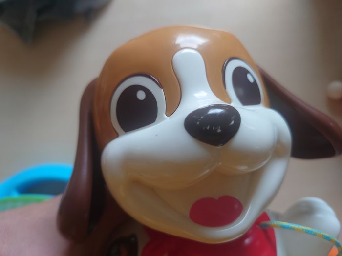 Chien à promener - photo numéro 3