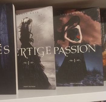 Romans Damnés tomes 2 Vertige et 3 Passion Lauren Kate Bayard