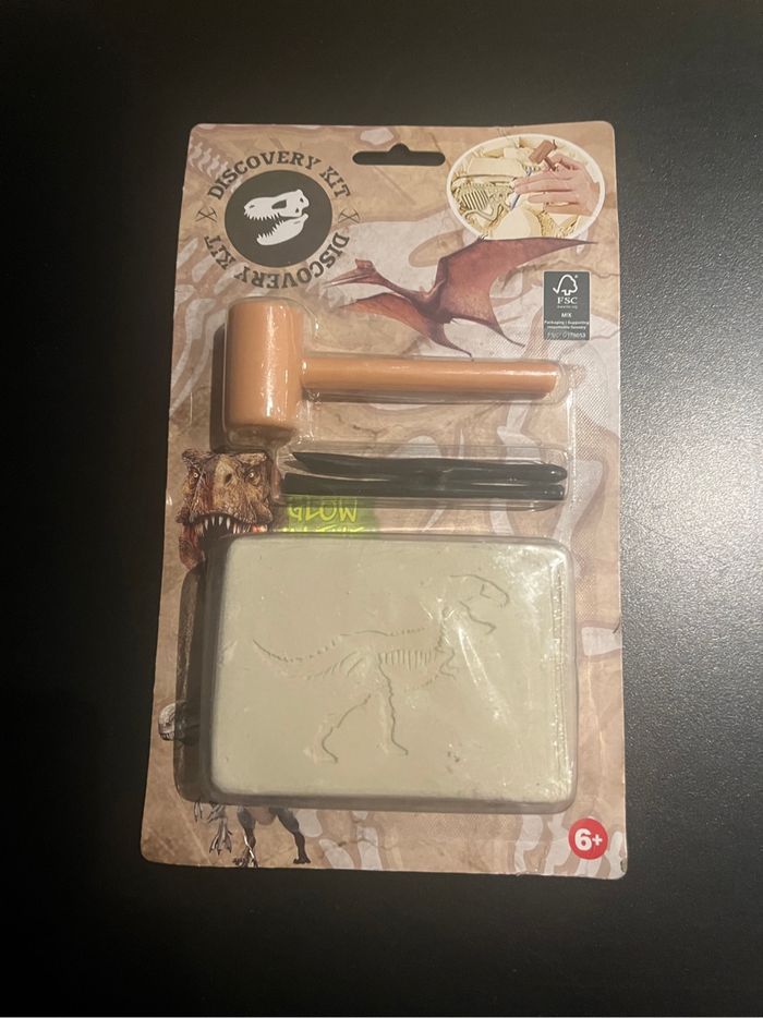 Petit kit de découverte archéologie dinosaures