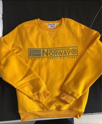 Pull  Geographical Norway homme