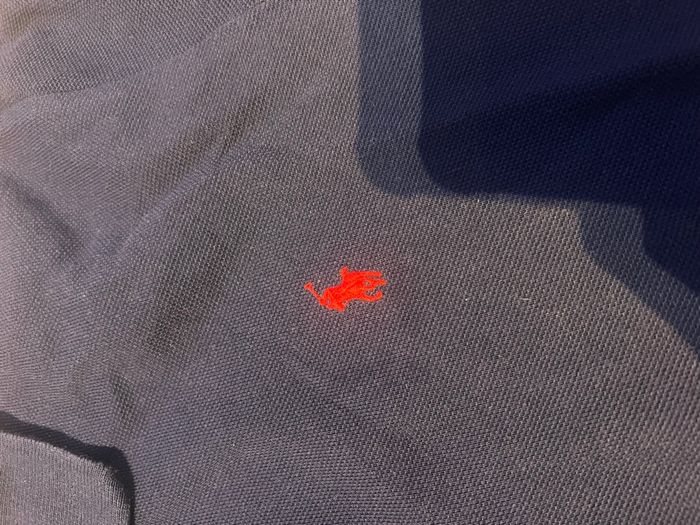 Polo Ralph Lauren, bleu marine taille S - photo numéro 2