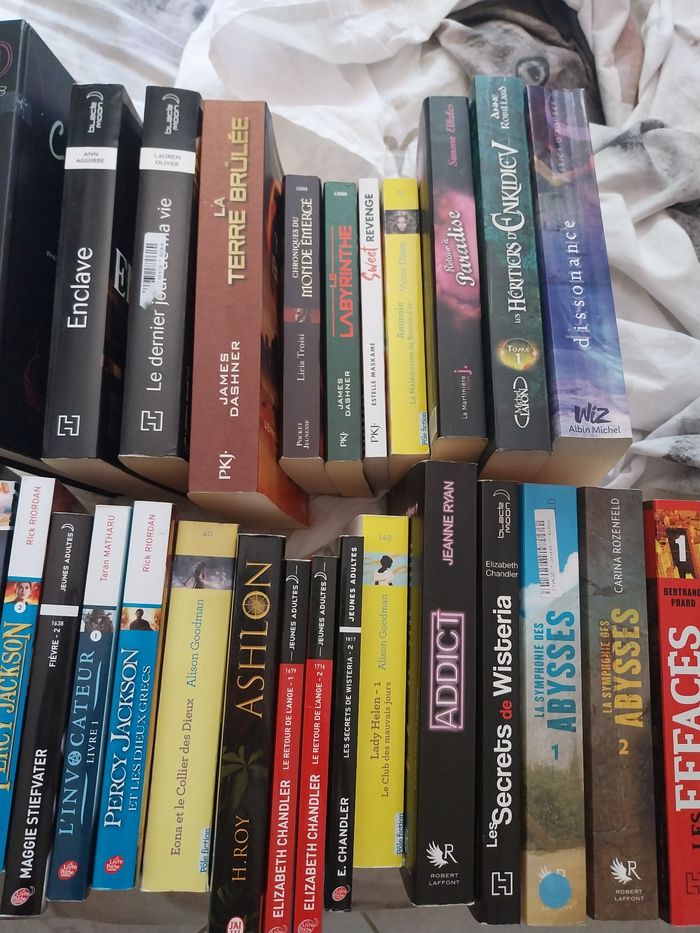 Lot 28 romans Fantastiques Dystopiques Adolescents Fantasy Romantasy Magie Young Adult New Adult - photo numéro 3