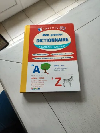 Mon premier dictionnaire français-anglais 6-11 ans