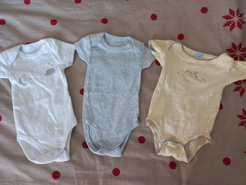 Lot de 3 bodys manches courtes 6 mois Kimadi