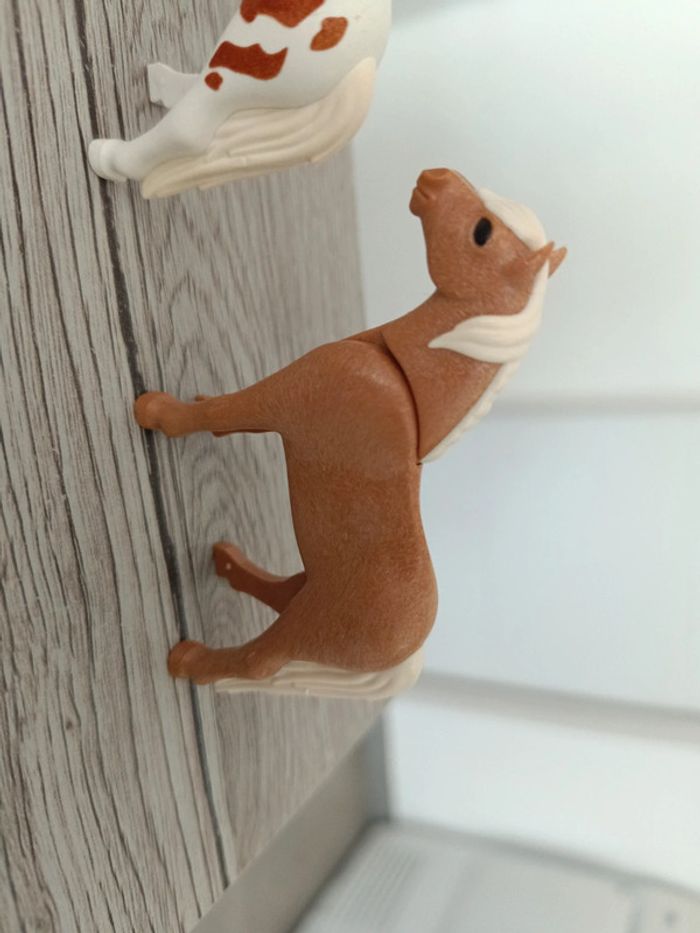 3 poulains playmobil cheval horses - photo numéro 4