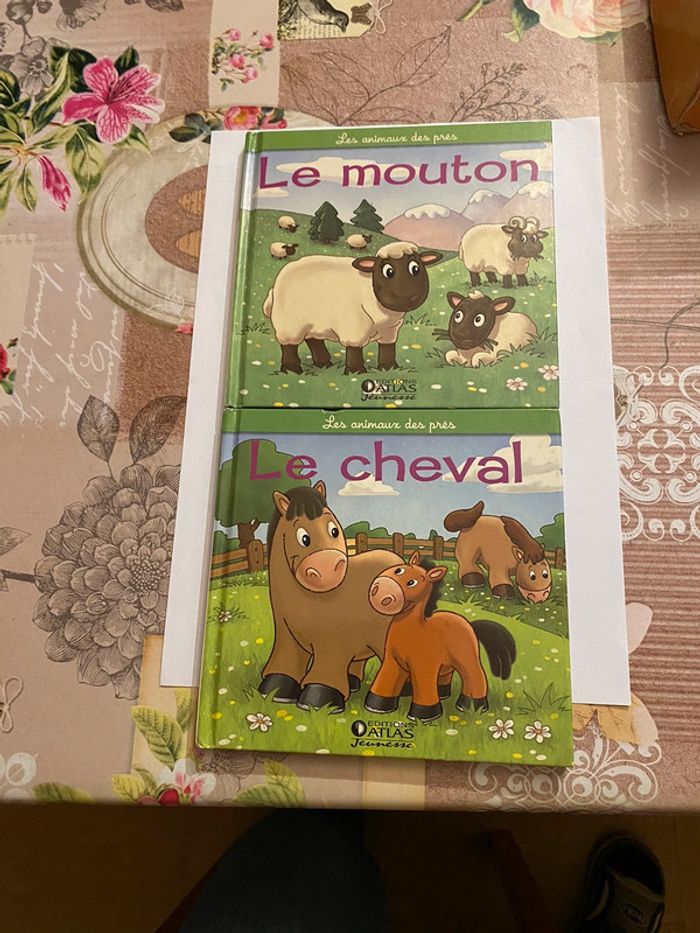 Livre enfant