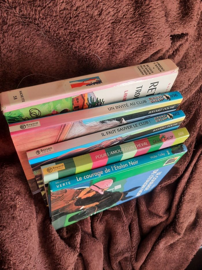 Lot 5 livres cheval grand galop etalon chevaux - photo numéro 5