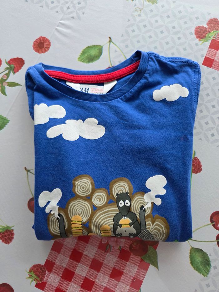 TEE-SHIRT GARÇON MANCHE LONGUE 2/4ANS MARQUE H&M - photo numéro 5