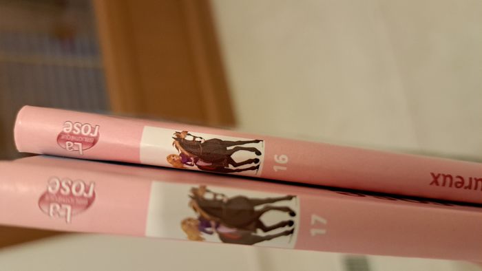 lot de deux livres - photo numéro 7