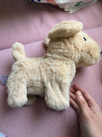 Chien peluche 