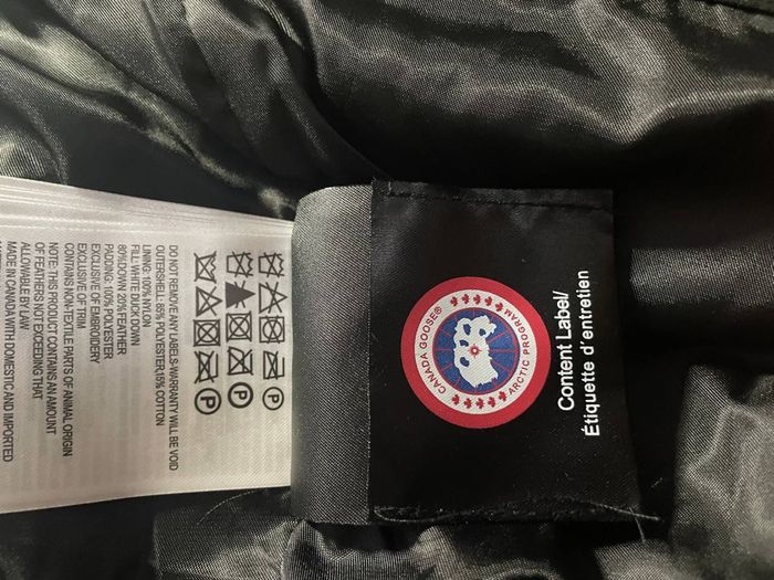Canada goose - photo numéro 5