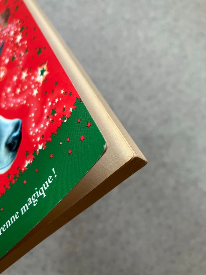 Lot de 2 livres jeunesse PKJ à partir de 7 ans (2€20) - photo numéro 10