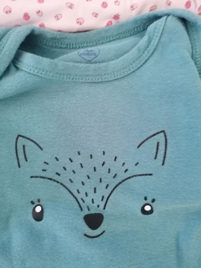 Lot bodies - photo numéro 6