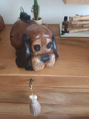 chien
