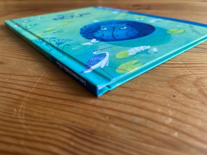 Livre Petit Noun - photo numéro 3