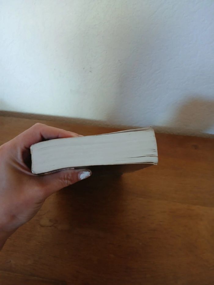 🍍 Livre Le journal d'un vampire - photo numéro 5