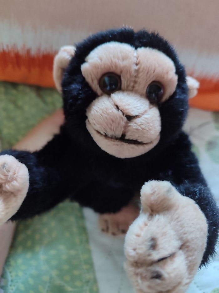 Bébé gorille wwf - photo numéro 4