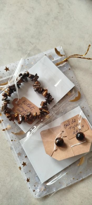 Ensemble Bracelet et Clous en Œil de Tigre