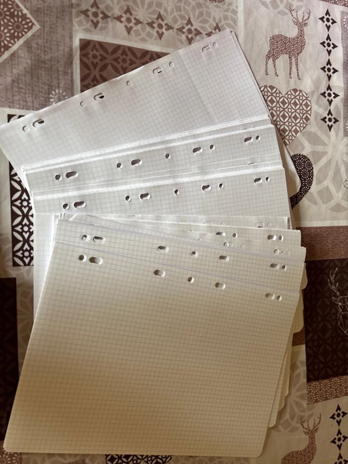 Feuilles simples petits carreaux - photo numéro 2
