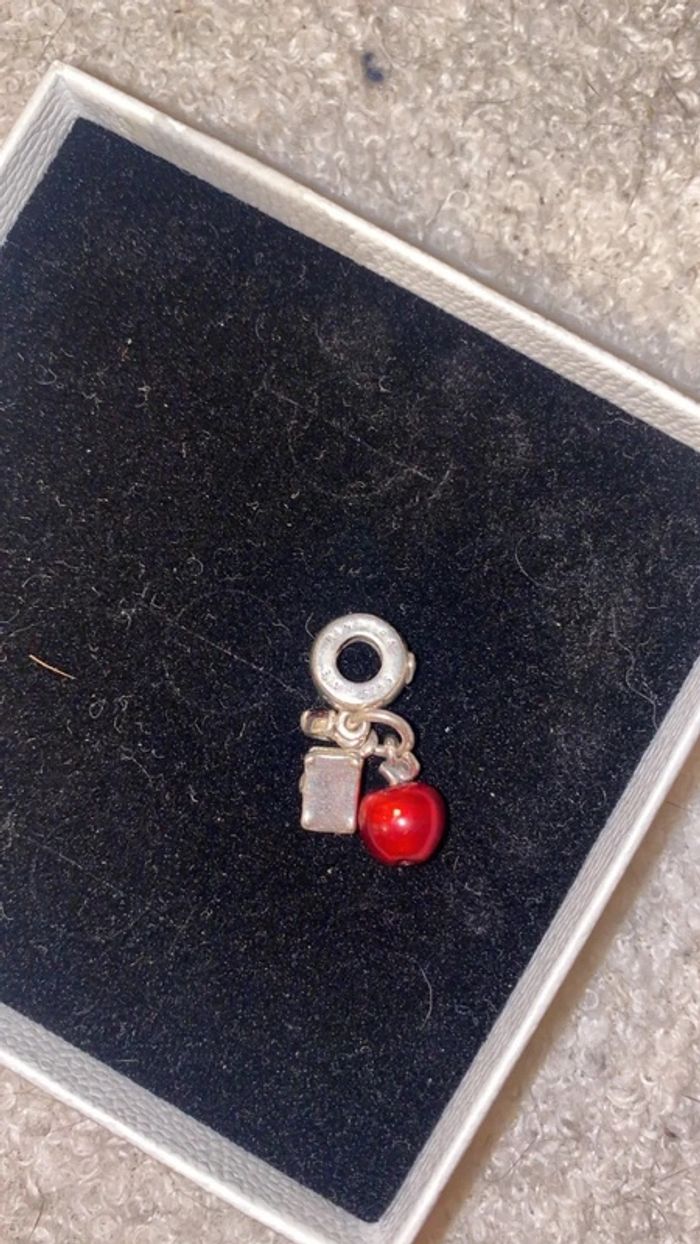 Charm pandora - photo numéro 4