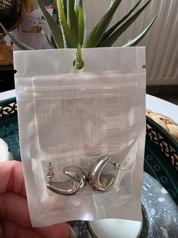 Boucles d'oreilles neuves argentées
