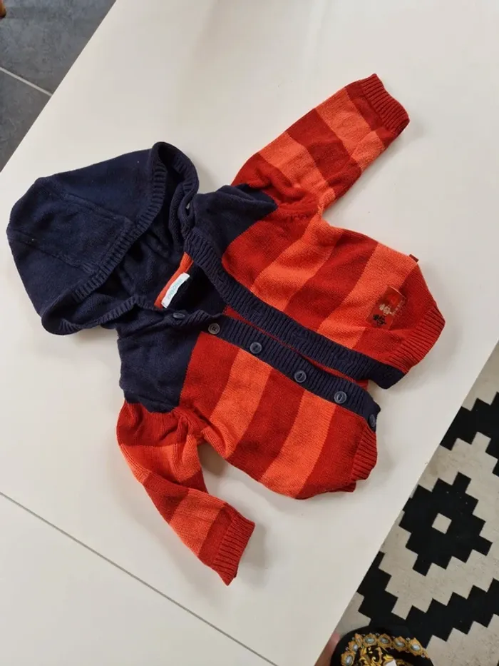 Gilet à capuche