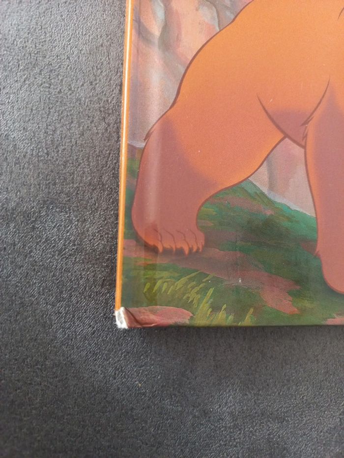 Club du livre mickey disney frère des ours - photo numéro 3