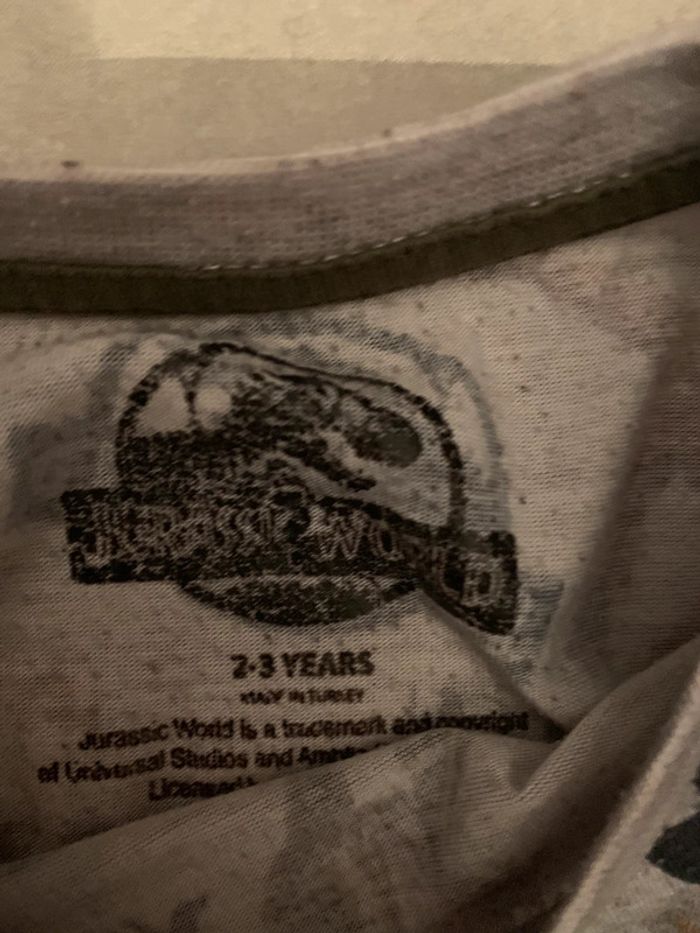 t shirt dinausore - photo numéro 3