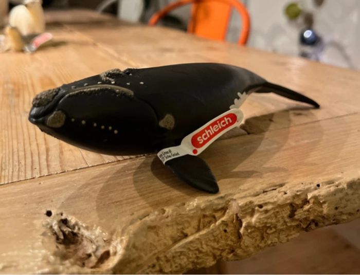 Lot figurines schleich - photo numéro 4