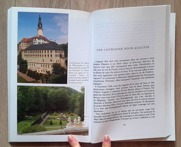 Patricia Bouchenot-Déchin - Le roman de la Saxe - photo numéro 9