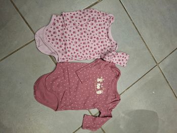Lot body rose