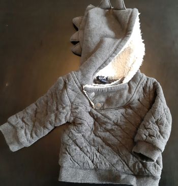 Pull molletonné dragon