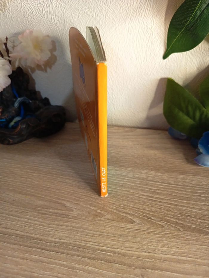 Misti le chat 🐱 satisfaisant - photo numéro 4
