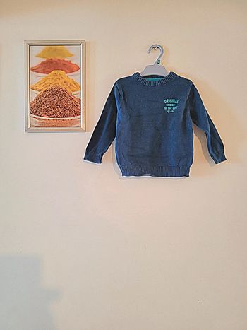 Pull garçon bleu orchestra 9 mois