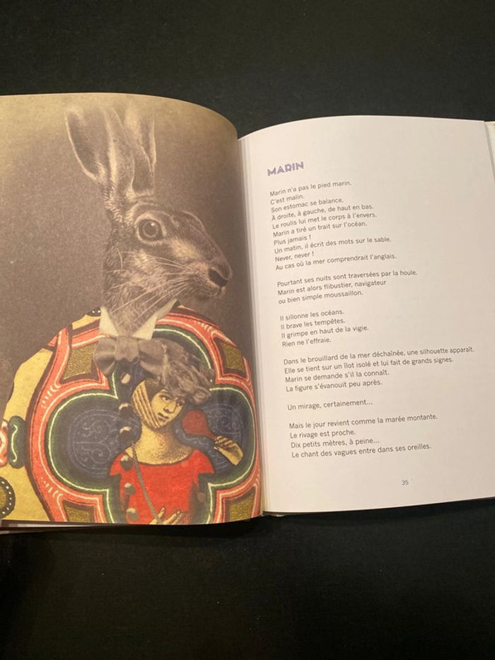 Livre l’incroyable bibliothèque Almayer - photo numéro 2