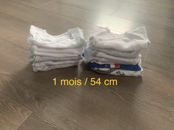 Lot bodies 1m