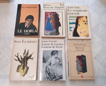 Lot livres de poche