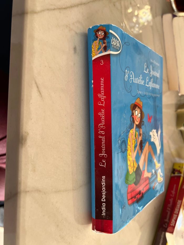 Livre « le journal d’aurelie laflamme » tome 3 - photo numéro 4