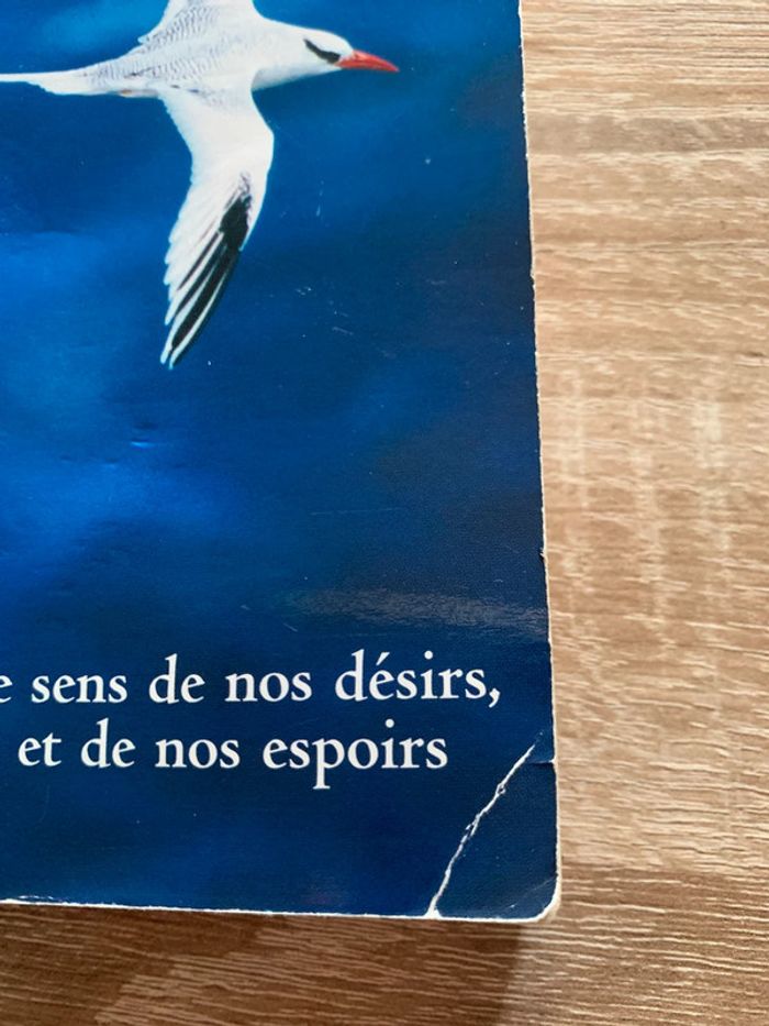 Leçons de vie - photo numéro 4