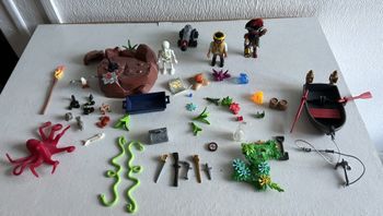 lot de playmobil pirate 