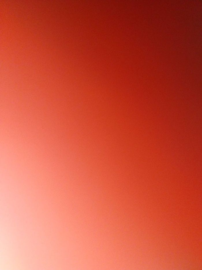 Snowglobe disney disneyland Paris bambi musical - photo numéro 3