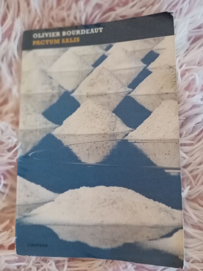 Livre - photo numéro 2