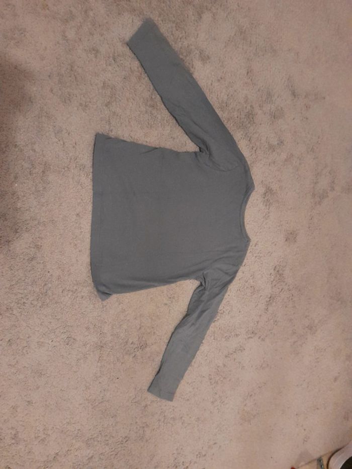 Tee shirt manches longues zebre - photo numéro 4